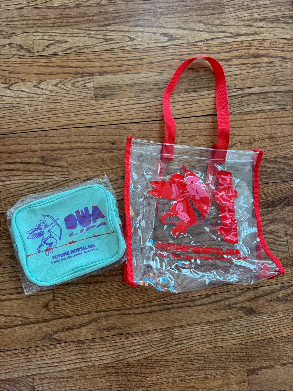 Dua Lipa 2022 Future Nostalgia VIP Merch   Tote and Cosmetics Bag